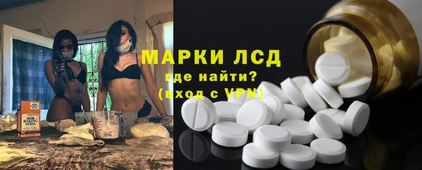крисы Кулебаки