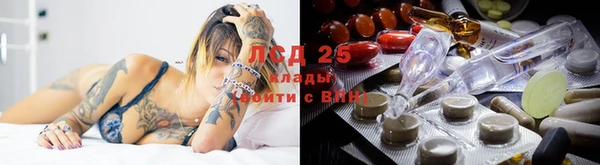 гидра Лагань