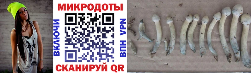 Галлюциногенные грибы Magic Shrooms Майский