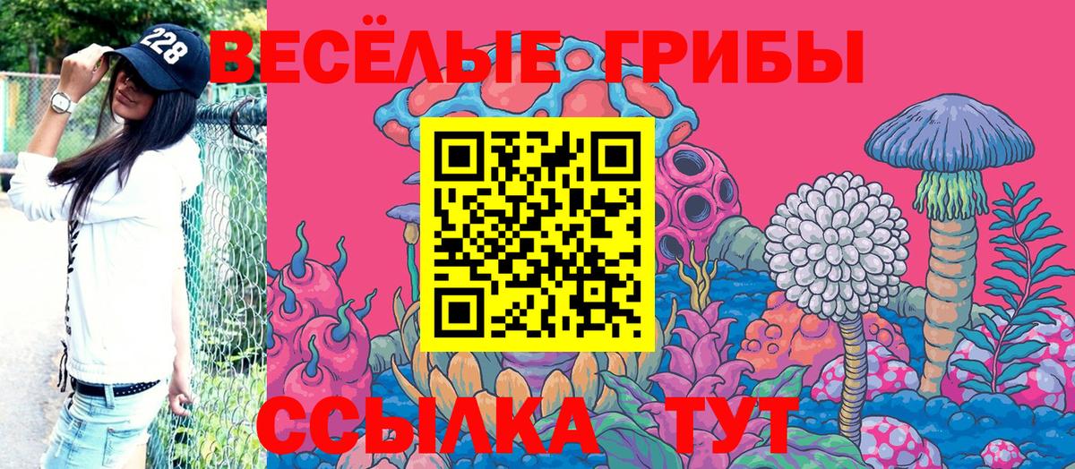 Майский  даркнет сайт  Псилоцибиновые грибы Psilocybe  Вход с VPN  Псилоцибиновые грибы GOLDEN TEACHER 