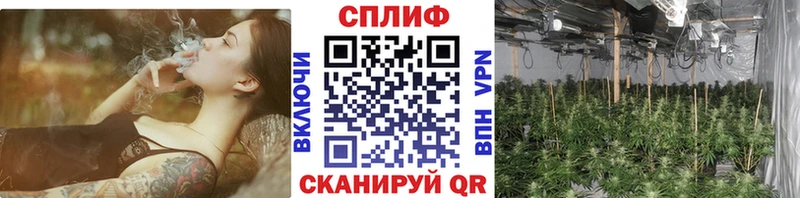 Бошки марихуана конопля  Майский 